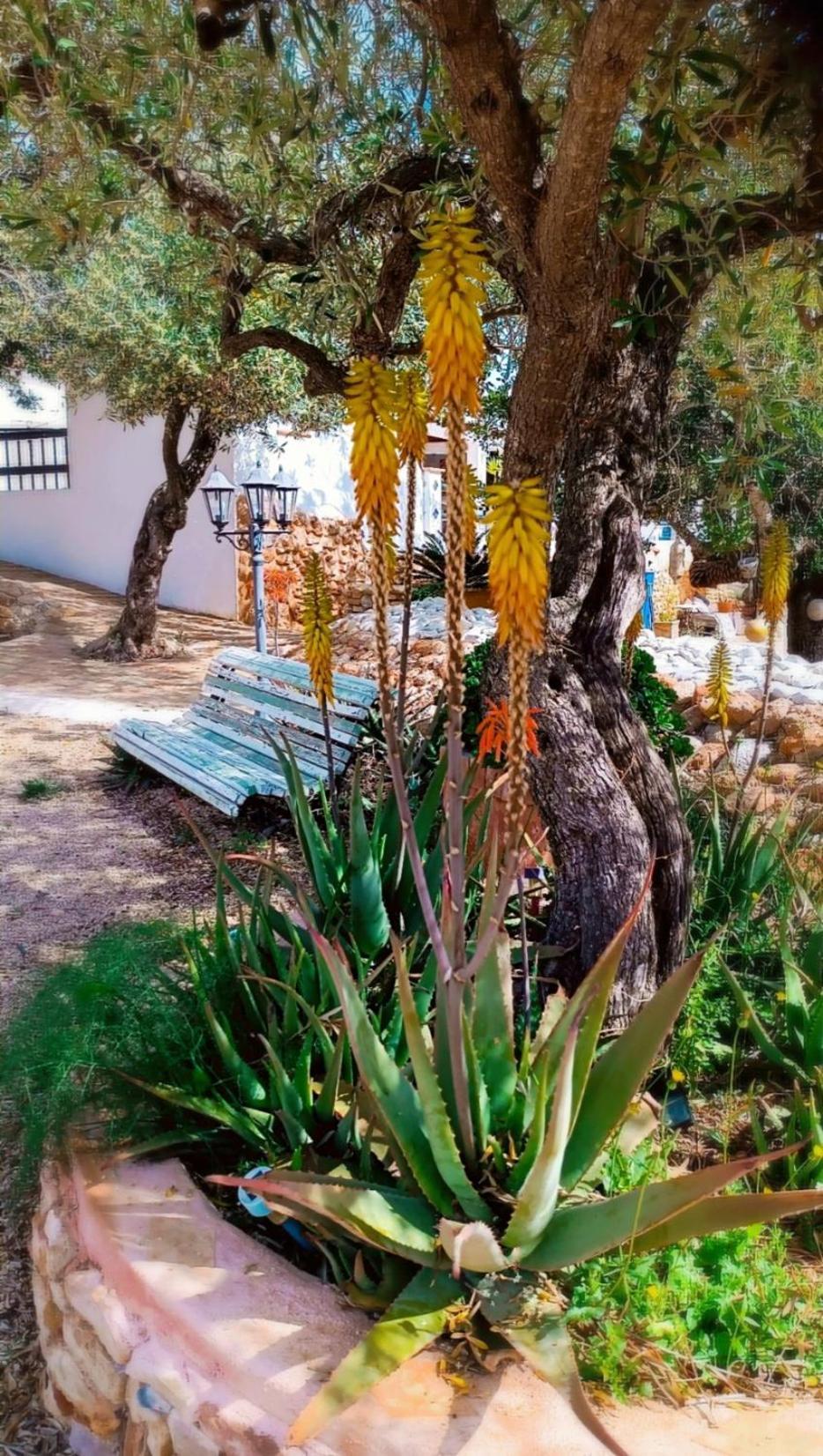 Flaire Mar Villa Tarragona Eksteriør bilde